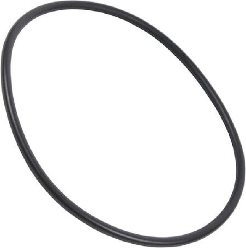 O-ring til bunnpanne i oppvaskmaskin 1119186003