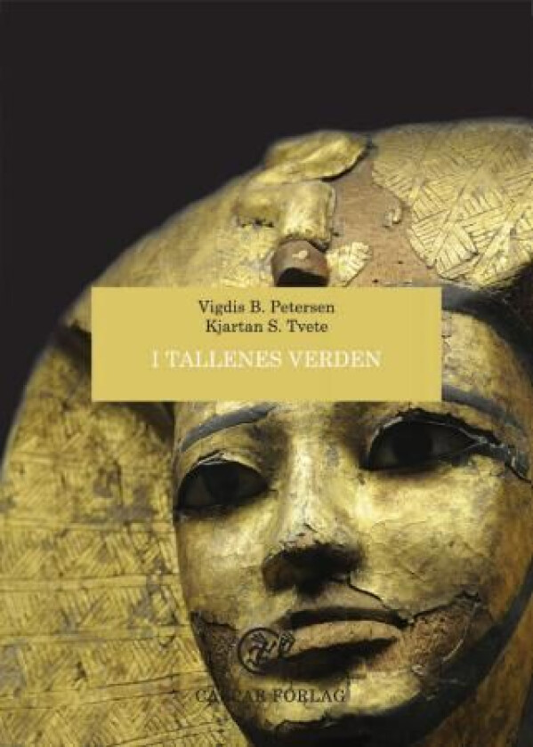 I tallenes verden av Vigdis B. Petersen, Kjartan S. Tvete