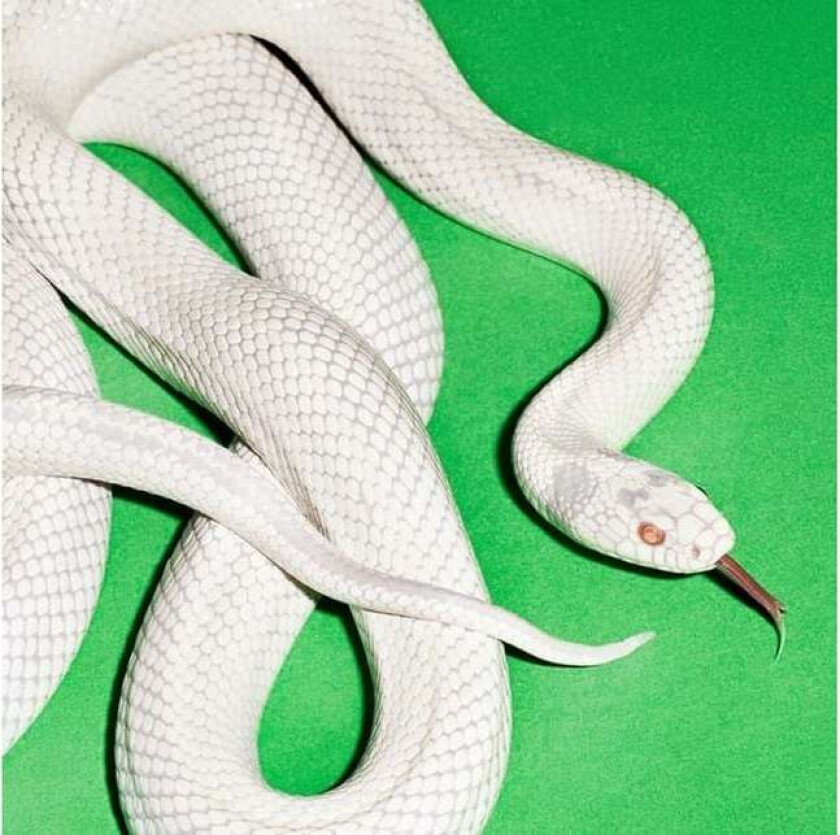 CD - private music - Unisex - standard