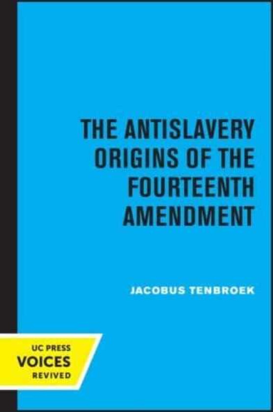 The Antislavery Origins of the Fourteenth Amendment