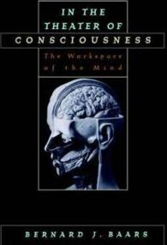 In the Theater of Consciousness