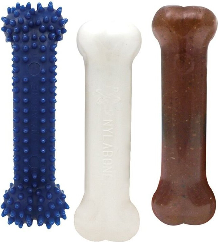 Nylabone Puppy Startpaket