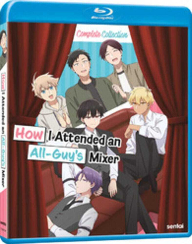 How I Attended An AllGuy's Mixer: Season 1 Collection Bluray