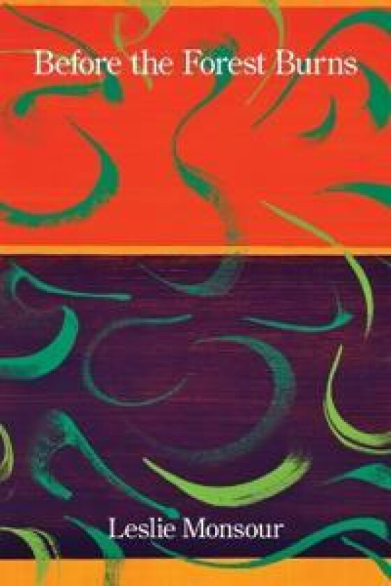 Before the Forest Burns