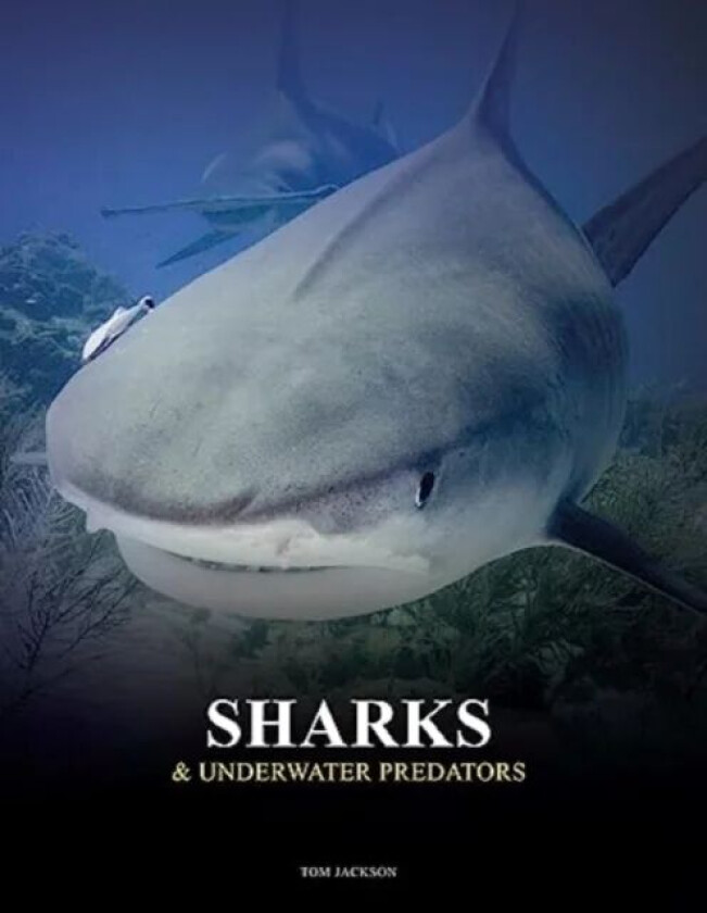 Sharks and Underwater Predators av Tom Jackson