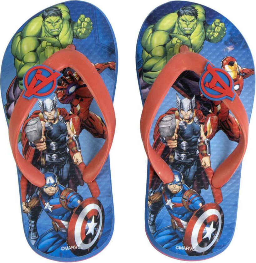 Flippflopper, Mørkeblå, 30-31 - Sandaler & Slippers