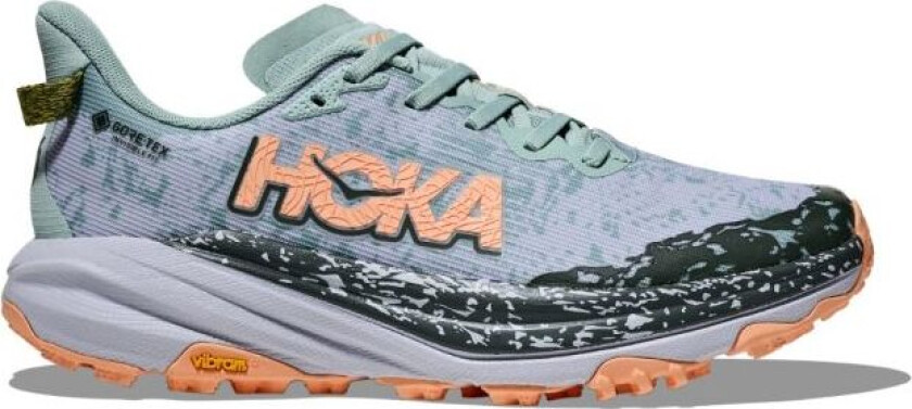 Speedgoat 6 GTX Dame Jade/Ash Grey 42 2/3