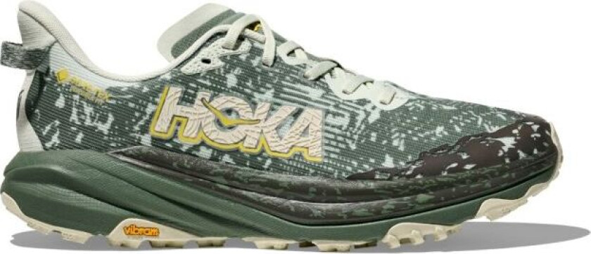 Speedgoat 6 GTX Herre Sea Glass/Fern 48