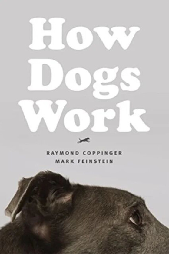 How Dogs Work av Raymond Coppinger, Mark Feinstein