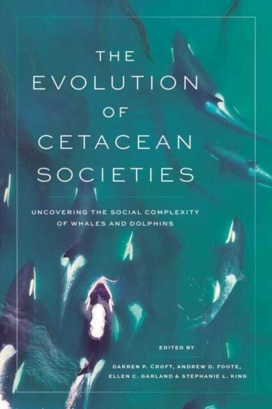 The Evolution of Cetacean Societies Uncovering the Social Complexity of Whales and Dolphins