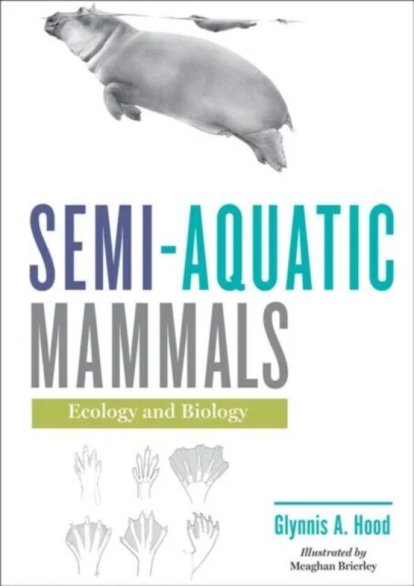 Semi-aquatic Mammals av Glynnis A. (Associate Professor Environmental Science University of Alberta Augustana) Hood