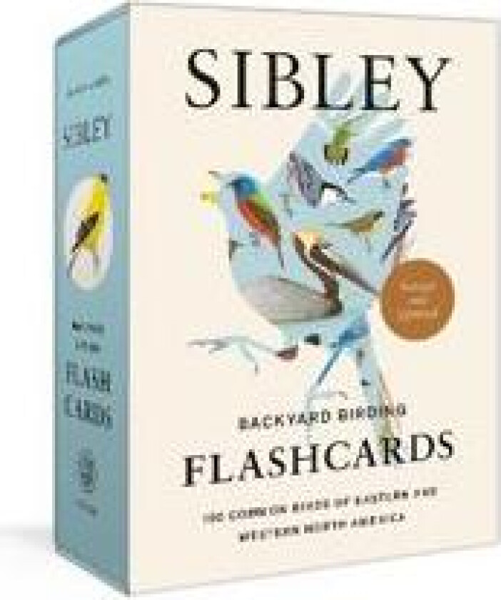 Sibley Backyard Birding Flashcards, Revised and Updated
