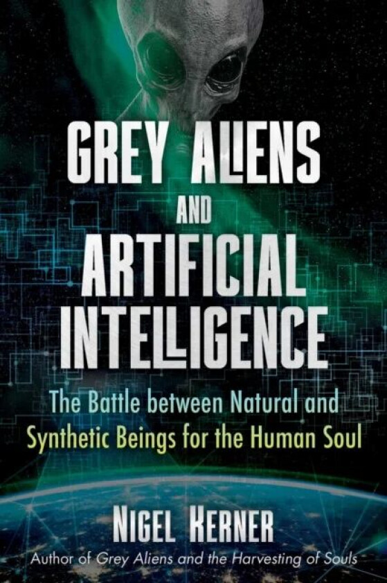 Grey Aliens and Artificial Intelligence av Nigel Kerner