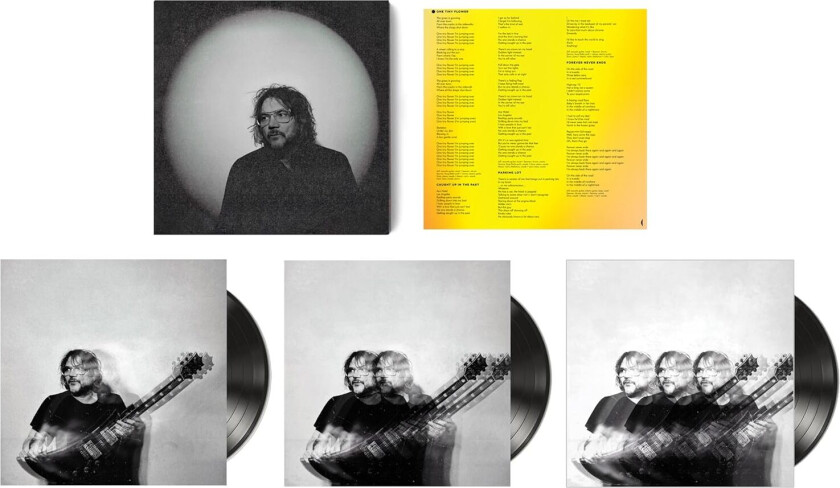 Jeff Tweedy Twilight Override LP/Vinyl