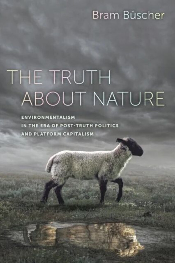 The Truth about Nature av Bram Buscher