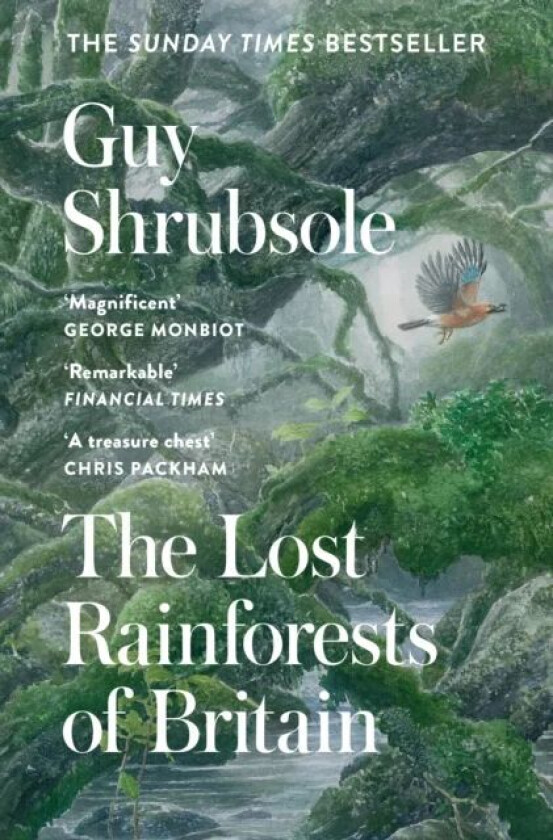 The Lost Rainforests of Britain av Guy Shrubsole