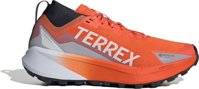 Terrex Agravic Gtx Seimor/ftwwht/carbon 45 45 1/3