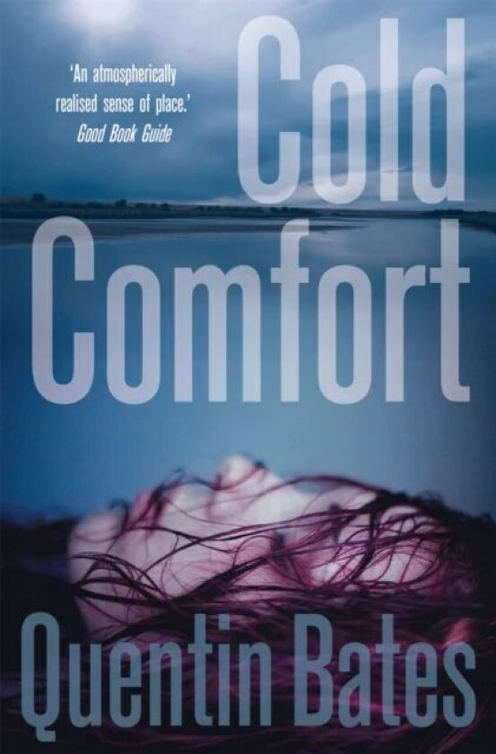 Cold Comfort av Quentin Bates