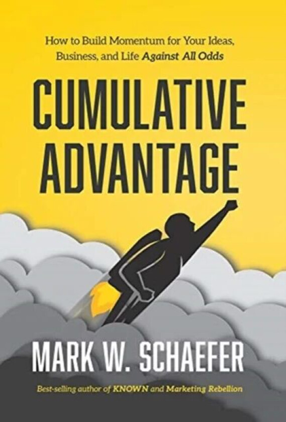 Cumulative Advantage av Mark W Schaefer