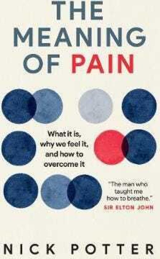 The Meaning of Pain A radical new approach to overcoming chronic pain