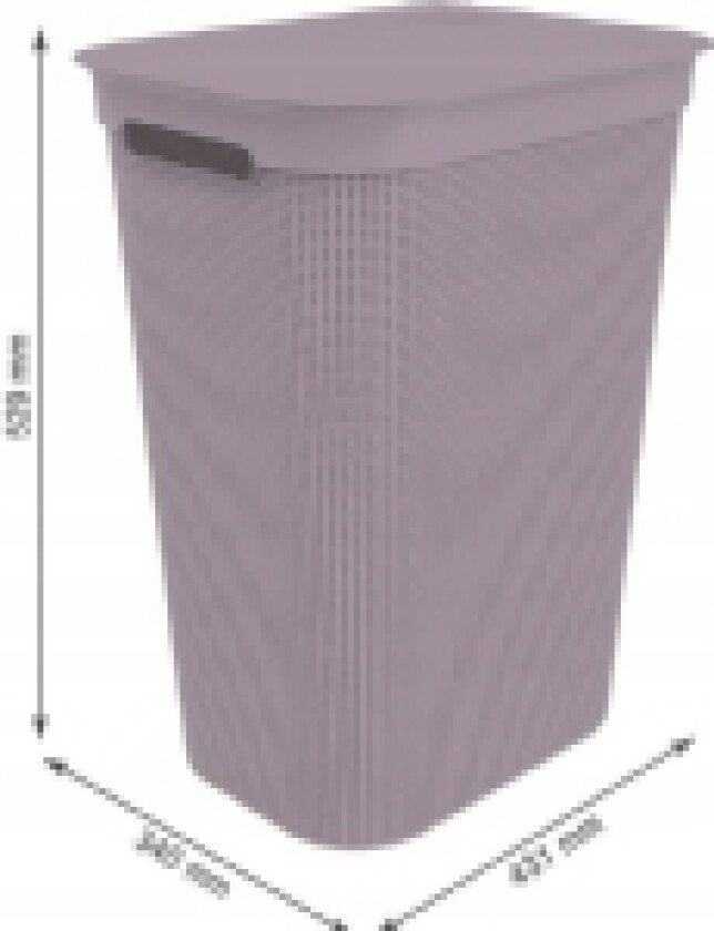 Skittentøyskurv Rotho Skittentøyskurv Rotho BRISEN 41l fiolett