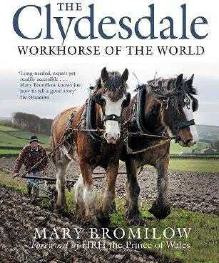 The Clydesdale Workhorse of the World