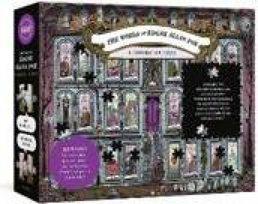 The World of Edgar Allan Poe: A Conversation Puzzle