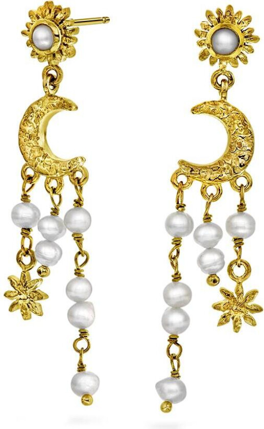 Twillight øredobber i 925 forgylt sølv med perler