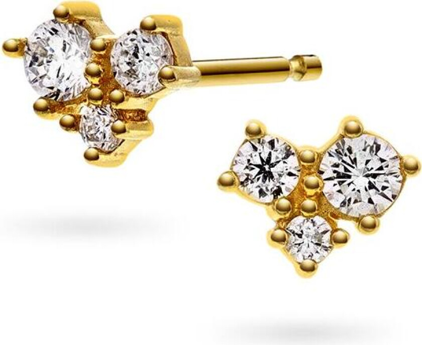 Oasis øredobber i 925 forgylt sølv med zirkonia