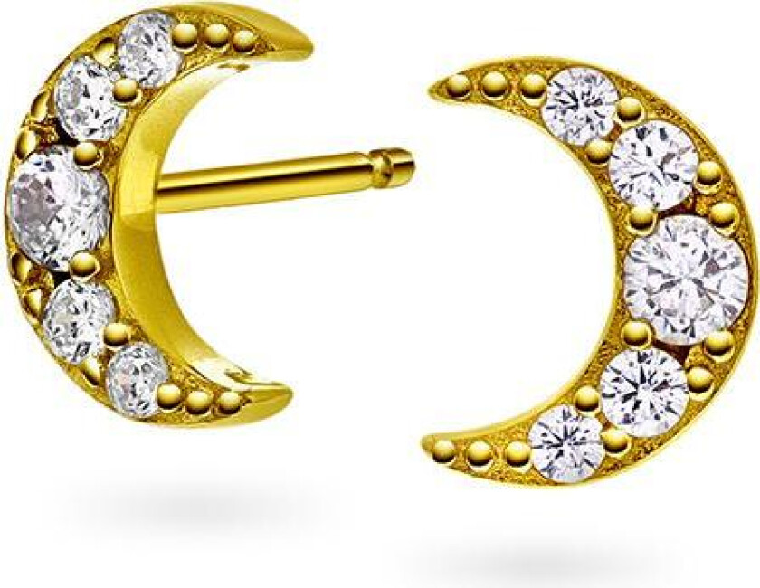 Night øredobber i 925 forgylt sølv med zirkonia