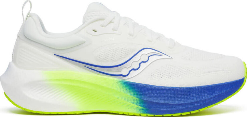 Men's Surge 3 White/lapis