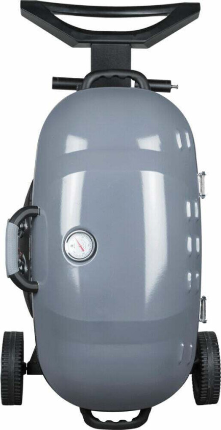 Portable 2 gassgrill