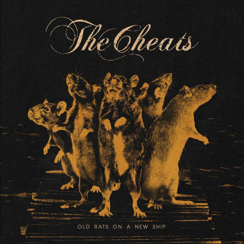 The Cheats Old Rats On A New Ship LP/Vinyl
