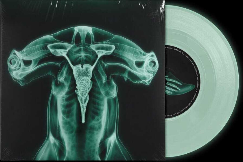 Eartheater Shark Brain / Dolphin LP/Vinyl