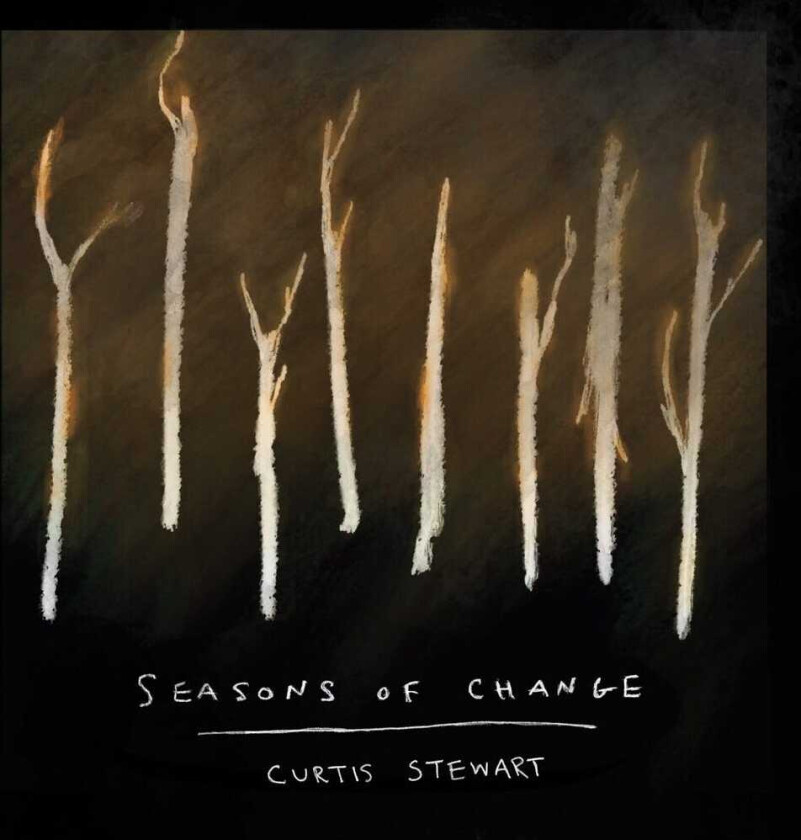Curtis J Stewart Seasons Of Change CD