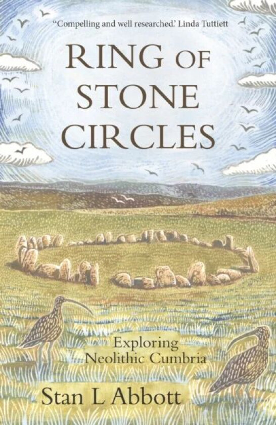 Ring of Stone Circles av Stan L Abbott