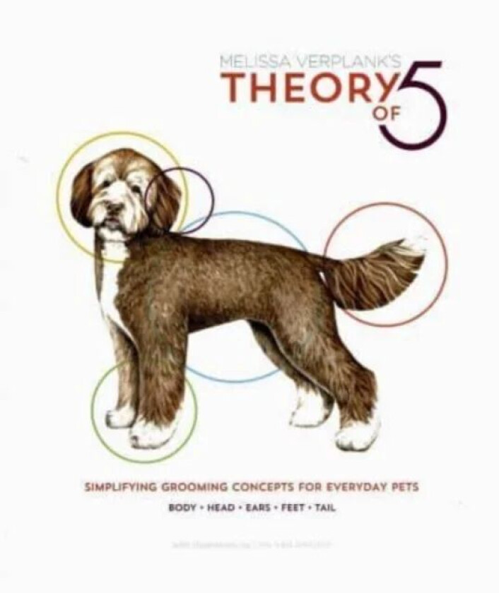 Theory Of 5 av Melissa Verplank