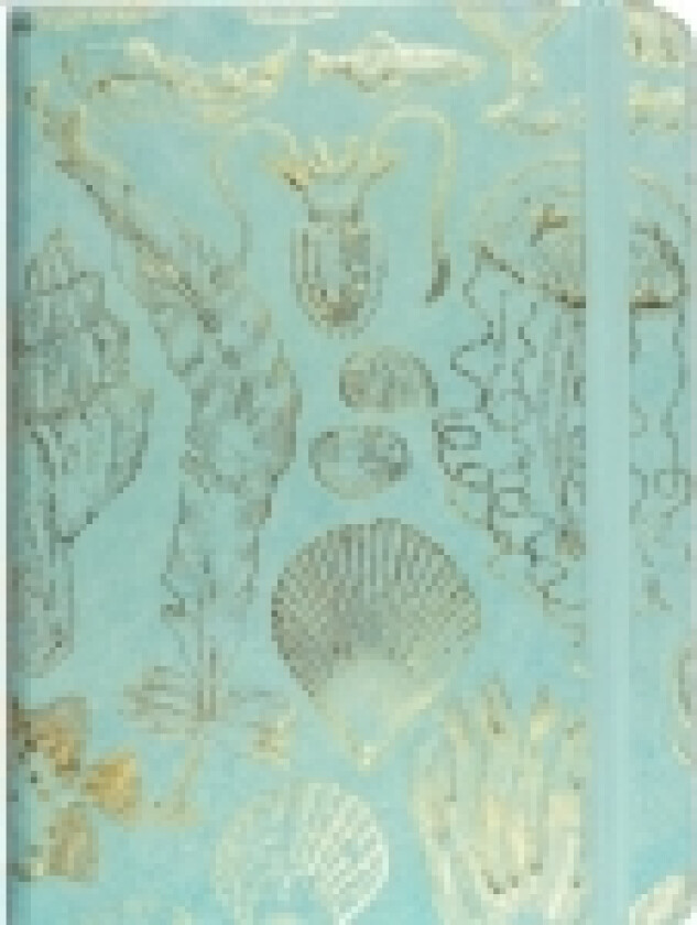 Midi Notebook Sea Life |