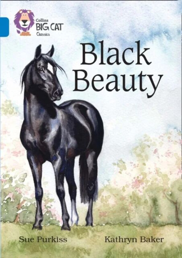 Black Beauty av Sue Purkiss