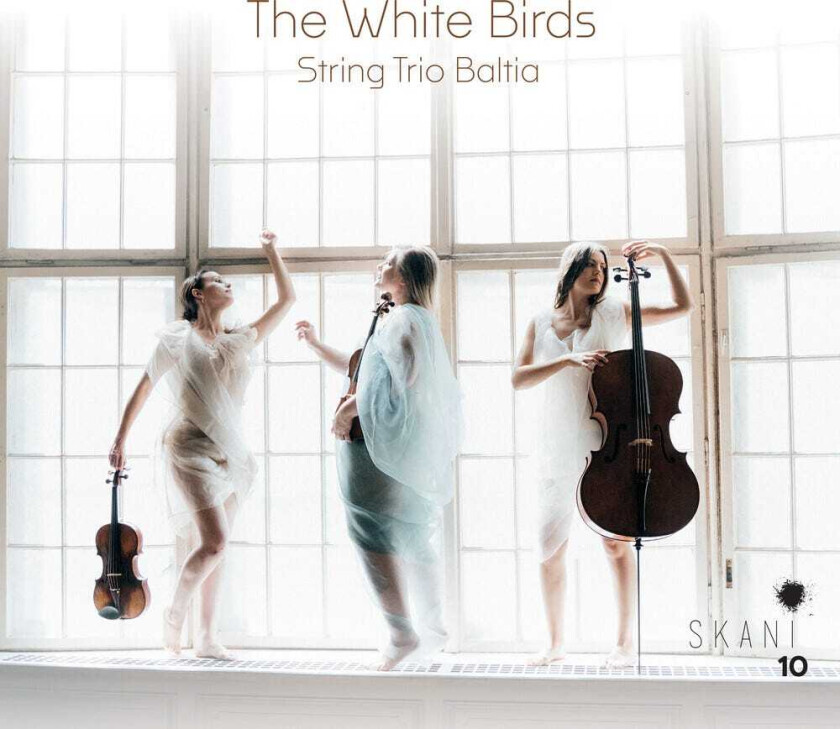 String Trio Baltia White Birds CD