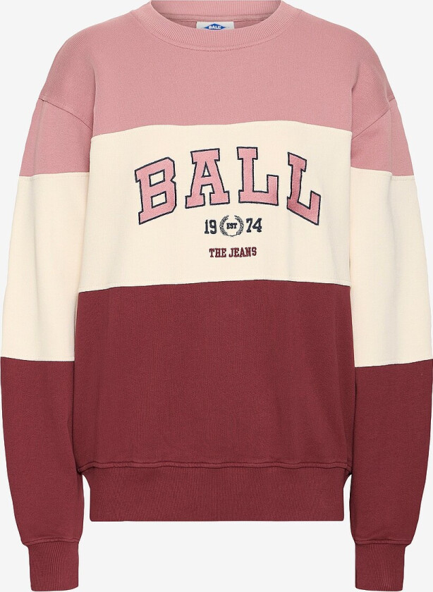 Collegegenser baMontana - Brun
