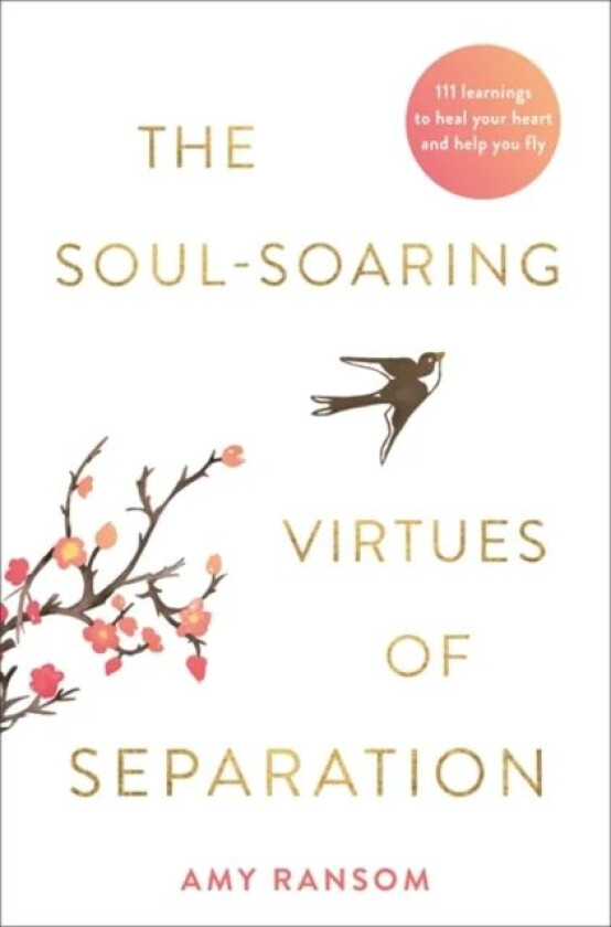 The Soul-Soaring Virtues of Separation av Amy Ransom