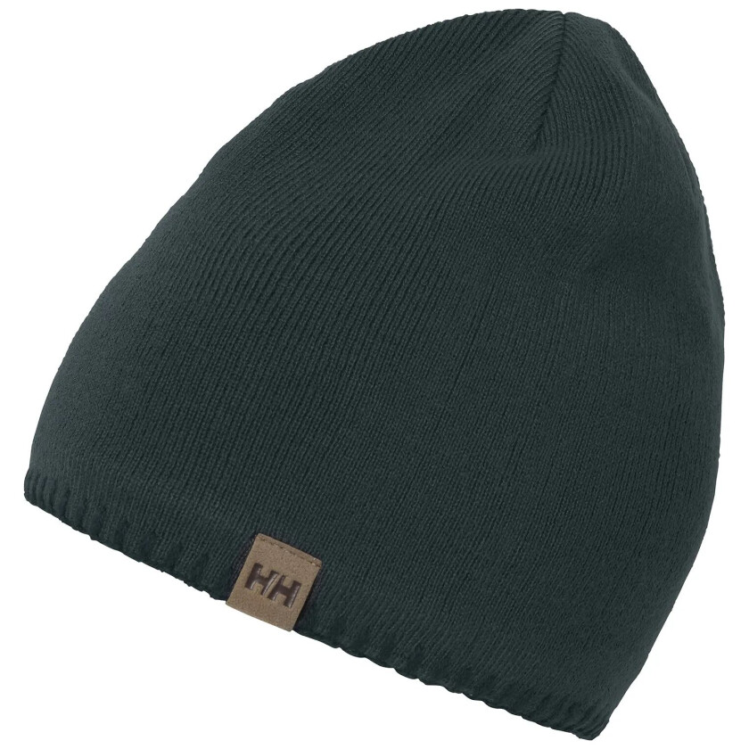 Mountain Beanie Fleece Lined, lue, unisex SLATE