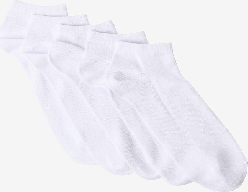 Ankelsokker 5-pack - Hvit