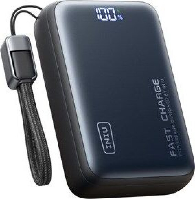 Iniu Leopard Power 100w