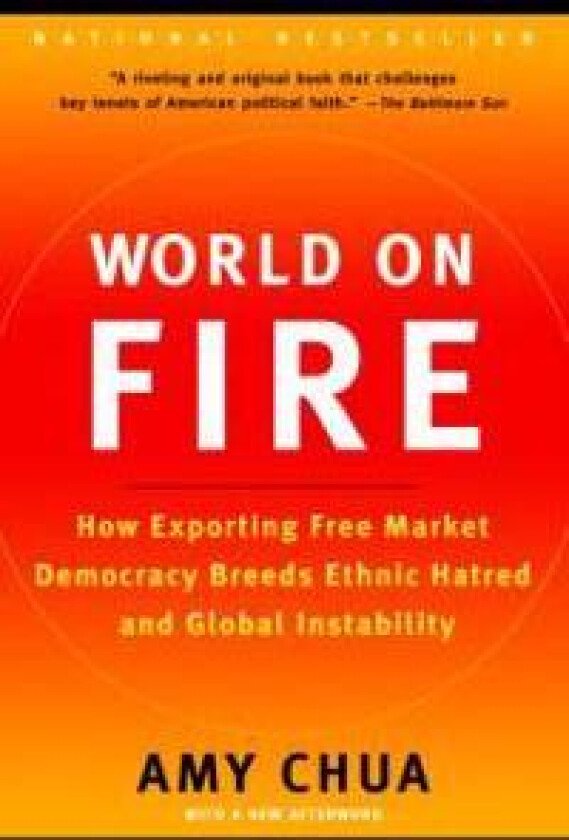 World on Fire: How Exporting Free Market Democracy Breeds Ethnic Hatred and Global Instability
