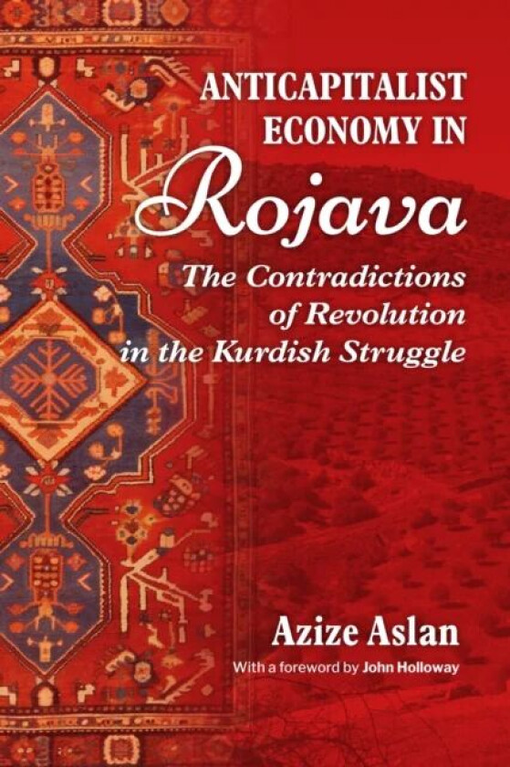 Anticapitalist Economy In Rojava av Azize Aslam