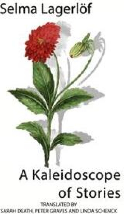 A Kaleidoscope of Stories