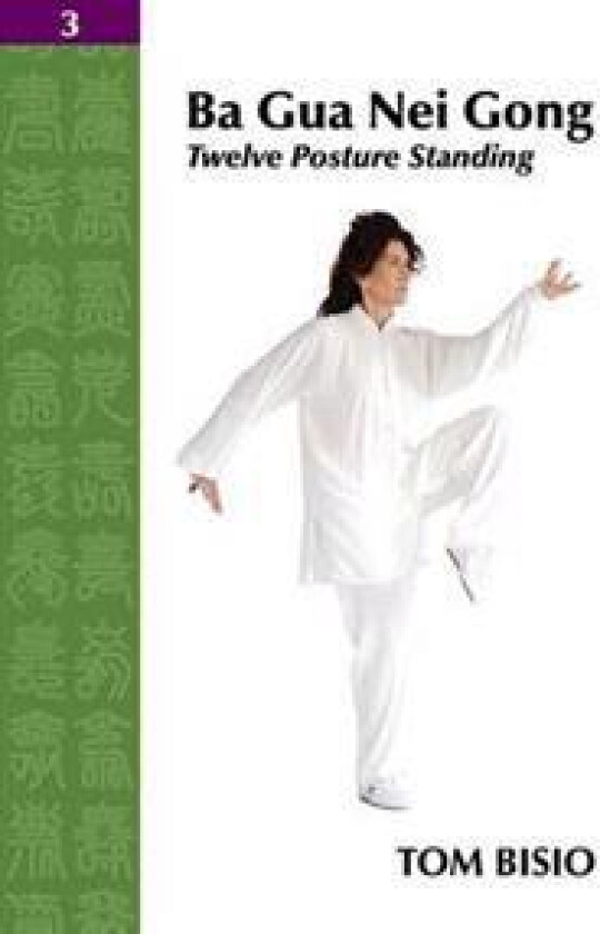 Ba Gua Nei Gong Vol. 3