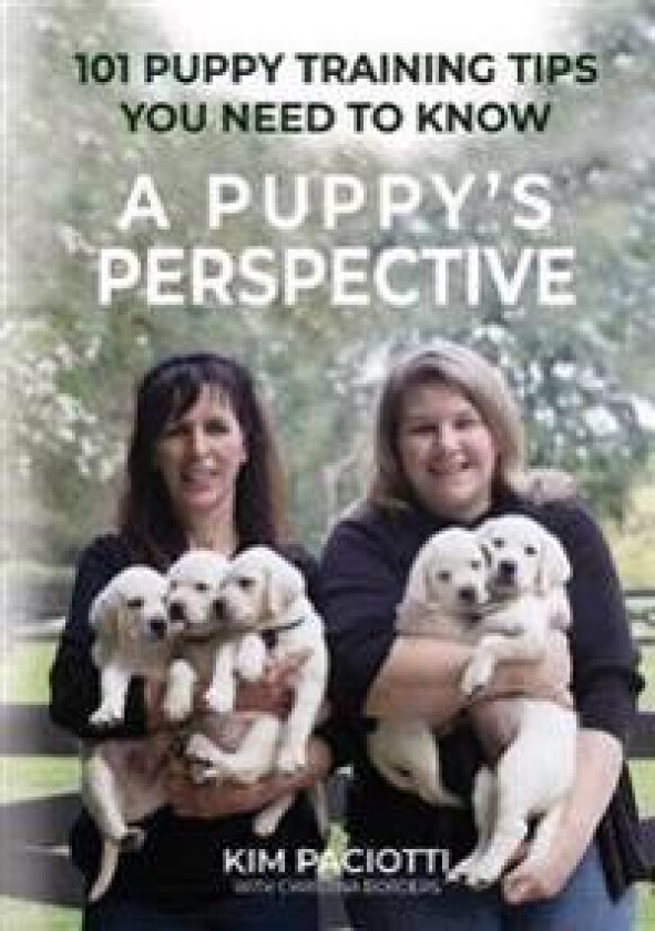 A Puppy's Perspective